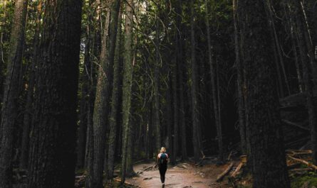 femme de dos qui marche seule sur un sentier dans la forêt
